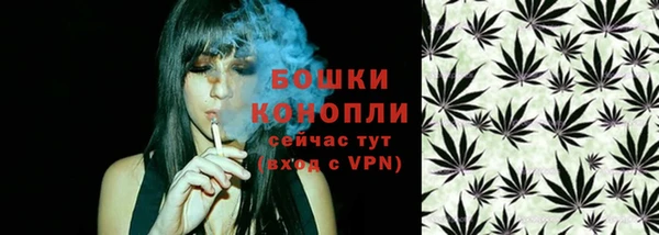 ГАЛЛЮЦИНОГЕННЫЕ ГРИБЫ Волосово