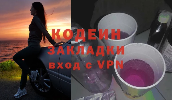 индика Володарск