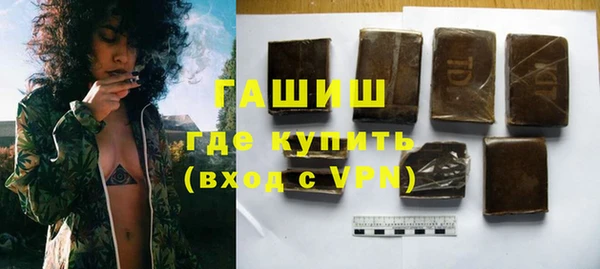 индика Володарск