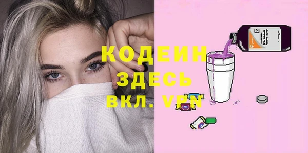 индика Володарск