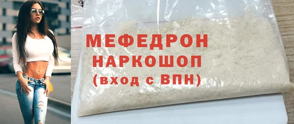 индика Володарск