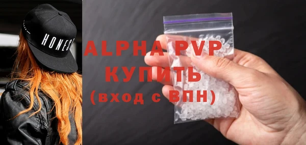 индика Володарск