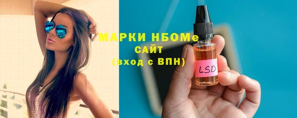 индика Володарск
