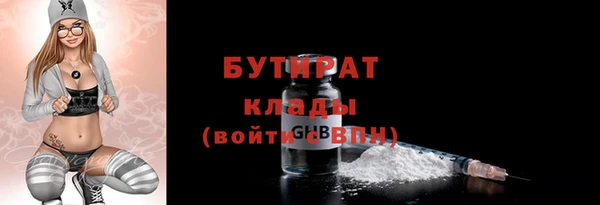 индика Володарск
