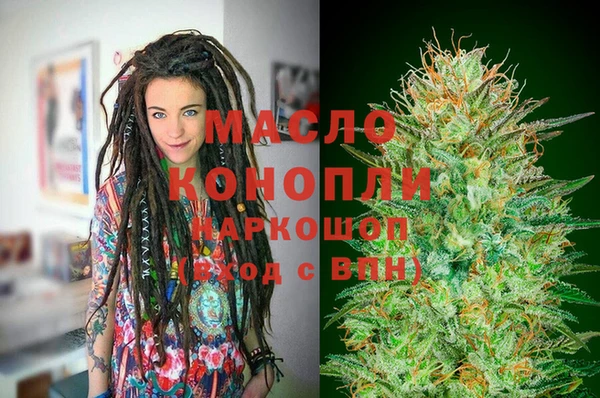 индика Володарск