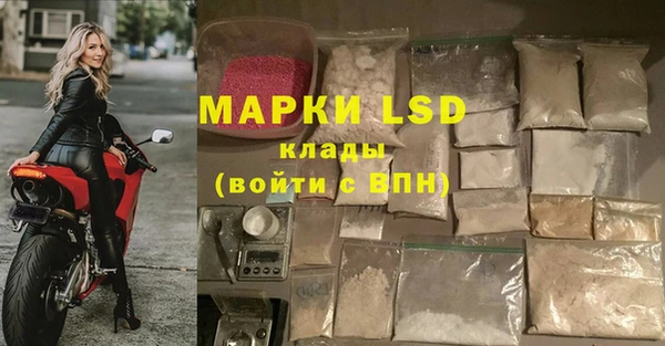 прущие грибы Верхний Тагил