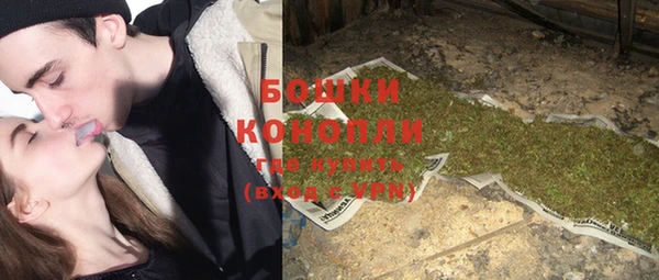 ГАЛЛЮЦИНОГЕННЫЕ ГРИБЫ Волосово