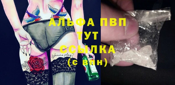 индика Володарск