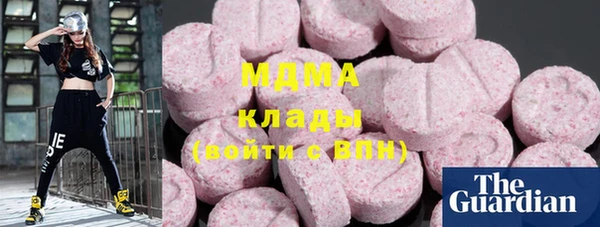 индика Володарск